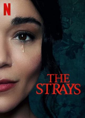 The Strays 2023 1080p WEB-DL DDP5.1 Atmos x264-AOC