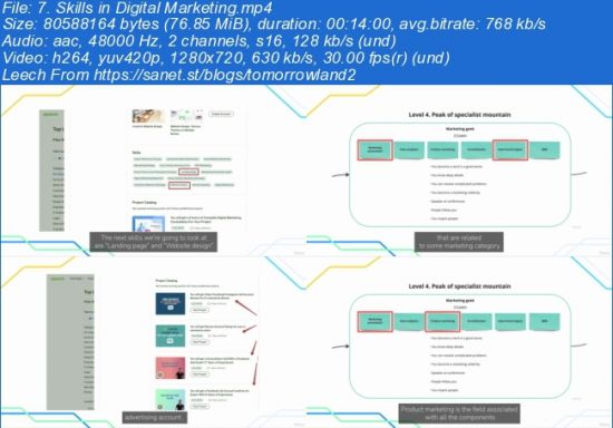 Starting your career in digital marketing industry