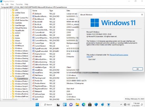 Windows 11 Enterprise Preview 21H2 Build 22000.1516 x64 En-Us January 2023 (No TPM Required)