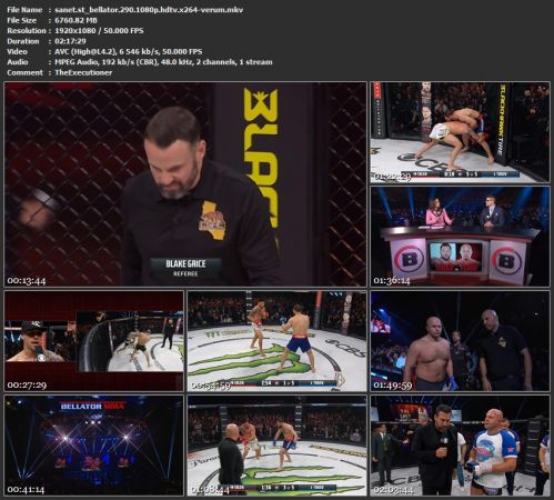 Bellator 290 1080p HDTV x264-VERUM