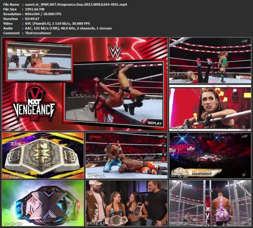WWE NXT Vengeance Day 2023 WEB h264-HEEL