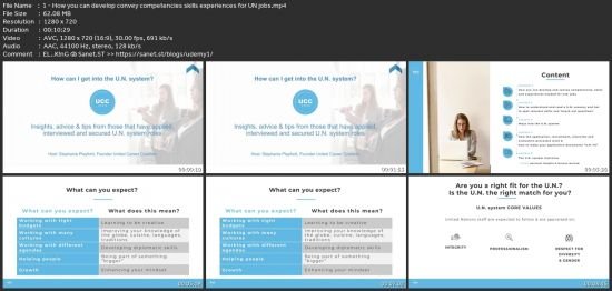 How To Start A Career At The United Nations?