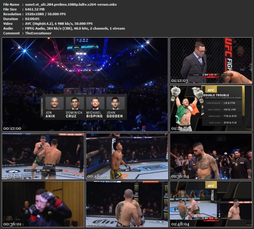 UFC 284 Prelims 1080p HDTV x264-VERUM
