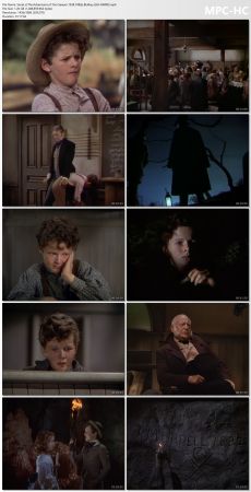The Adventures of Tom Sawyer 1938 1080p BluRay x265-RARBG