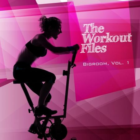Various Artists - The Workout Files - Bigroom Vol 1 (2023)