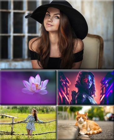Computer Desktop Wallpapers Collection. Part (2901)