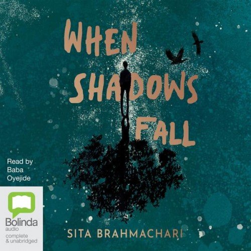 When Shadows Fall by Sita BrahmachariAudiobook