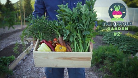 The 3-Hour Garden #2 Gardening In Practice
