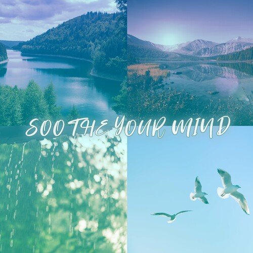 New Age Instrumental Music - Soothe Your Mind : Music Peaceful Nature Water, River, Rain, Birds (2023)
