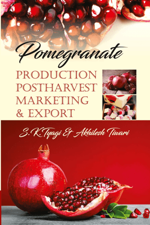 Pomegranate : Production, Postharvest, Marketing &amp; Export