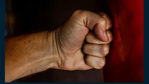 Flex Fist Boxing
