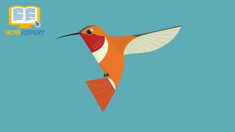 Mini Hummingbird Gardening Guide