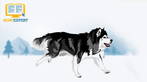 Alaskan Malamute 101