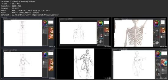 Anatomy 2.0 Draw The Figure From Imagination