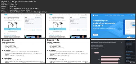 Go (Golang) Programming: The Complete Go Bootcamp 2023