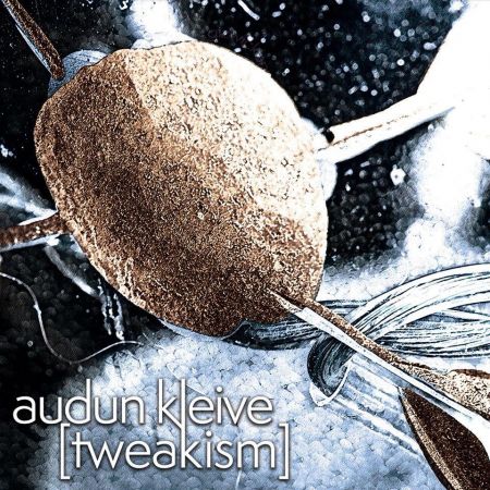 Audun Kleive - Tweakism (2023)Official Digital Download