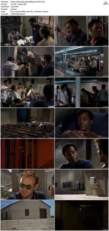 Riot 1969 1080p BluRay x264-OFT
