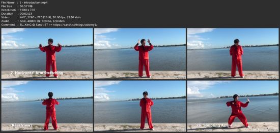 Therapeutic Qi Gong