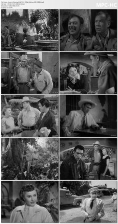 Blowing Wild 1953 1080p BluRay x265-RARBG