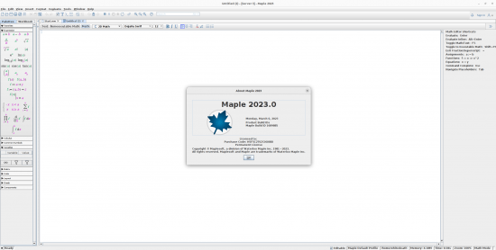 Maplesoft Maple 2023 LINUX (x64)