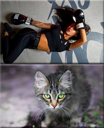 Classy Wallpapers (842)