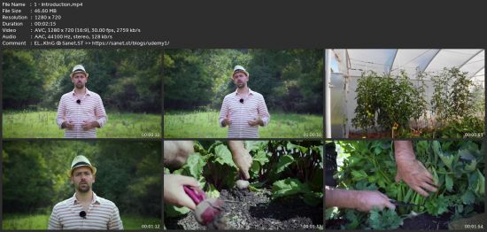The 3-Hour Garden #2 Gardening In Practice