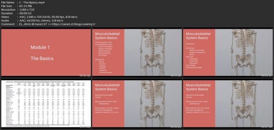 Women'S Bone Health And Nutrition Throughout The Lifespan