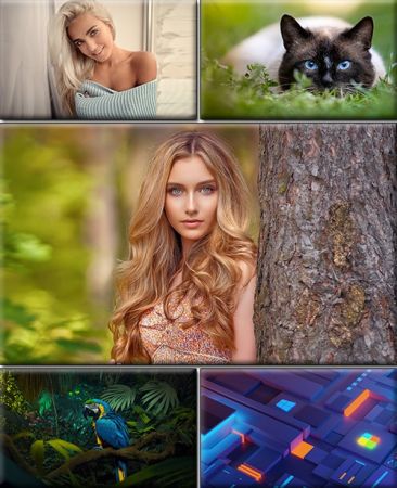 LIFEstyle News MiXture Images. Wallpapers Part (1960)