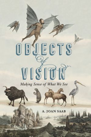 Objects of Vision: Making Sense of What We See (PDF)