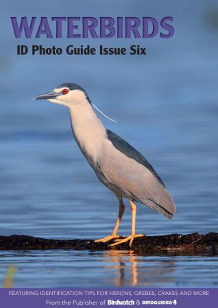 Bird ID Photo Guides - Number 6, 2023
