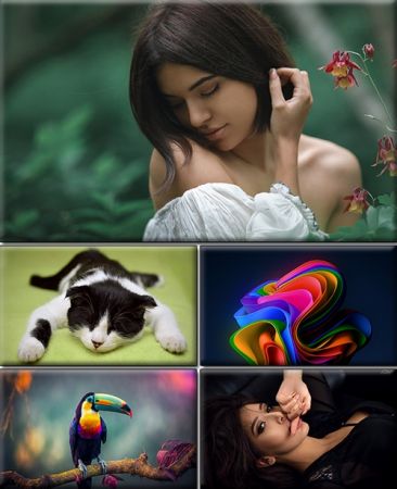 Computer Desktop Wallpapers Collection. Part (2910)