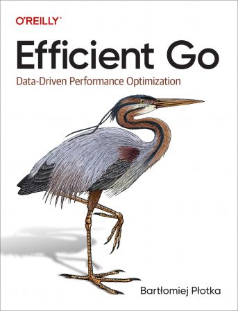 Efficient Go: Data-Driven Performance Optimization (True EPUB/Retail Copy)