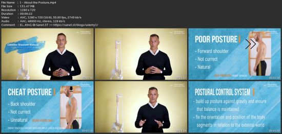 Premium Postural Massage Certification - Touch To Heal
