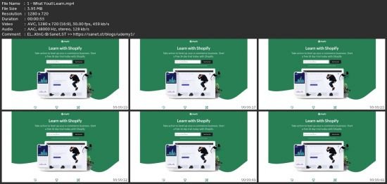 Learn Shopify From Scratch | Build Dropshipping Businesses
