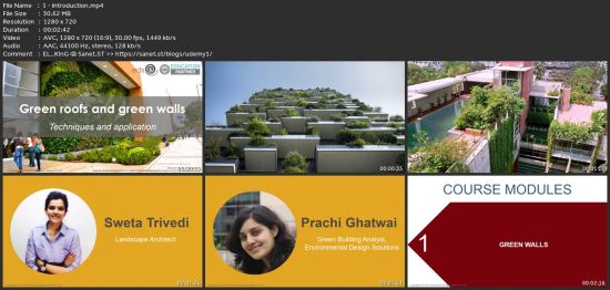 Green Walls And Green Roofs