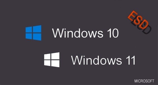 Windows 10/11 Pro X64 22H2 Build 19045.2913 &amp; 22621.1635 ESD en-US APRIL 2023 Preactivated