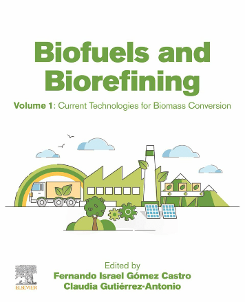 Biofuels and Biorefining, Volume 1 : Current Technologies for Biomass Conversion (True ePUB)