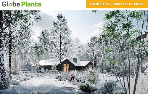 Globe Plants - Bundle 35 - Winter Plants