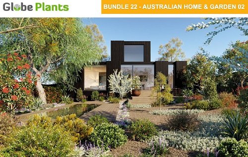Globe Plants - Bundle 22 - Australian Home &amp; Garden 02