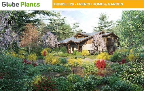 Globe Plants - Bundle 28 - French Home &amp; Garden Plants