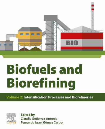 Biofuels and Biorefining, Volume 2 : Intensification Processes and Biorefineries (True ePUB)