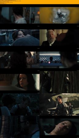 The Hunger Games Quadrilogy 1080p BRRip x264 AC3 DiVERSiTY