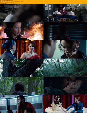 The Hunger Games Quadrilogy 1080p BRRip x264 AC3 DiVERSiTY