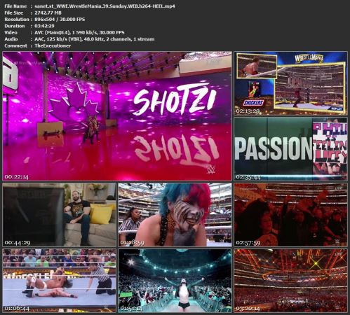 WWE WrestleMania 39 Sunday WEB h264-HEEL