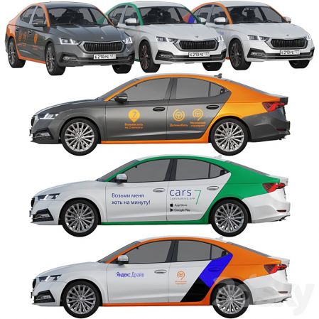 3DSky Pro - Carsharing Skoda Octavia