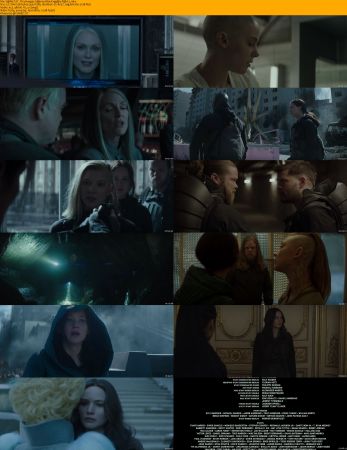 The Hunger Games Quadrilogy 1080p BRRip x264 AC3 DiVERSiTY