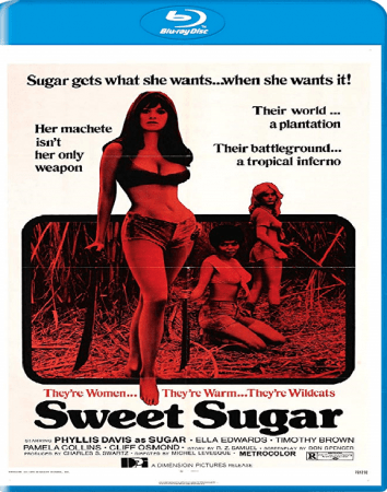 Sweet Sugar 1972 1080p BluRay x265-RARBG