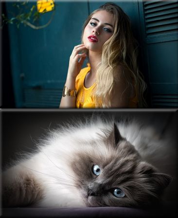 Classy Wallpapers (844)