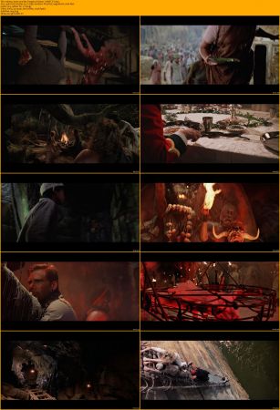 Indiana Jones Collection 1080p BRRip x264 AC3 DiVERSiTY