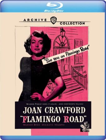 Flamingo Road 1949 1080p BluRay x265-RARBG